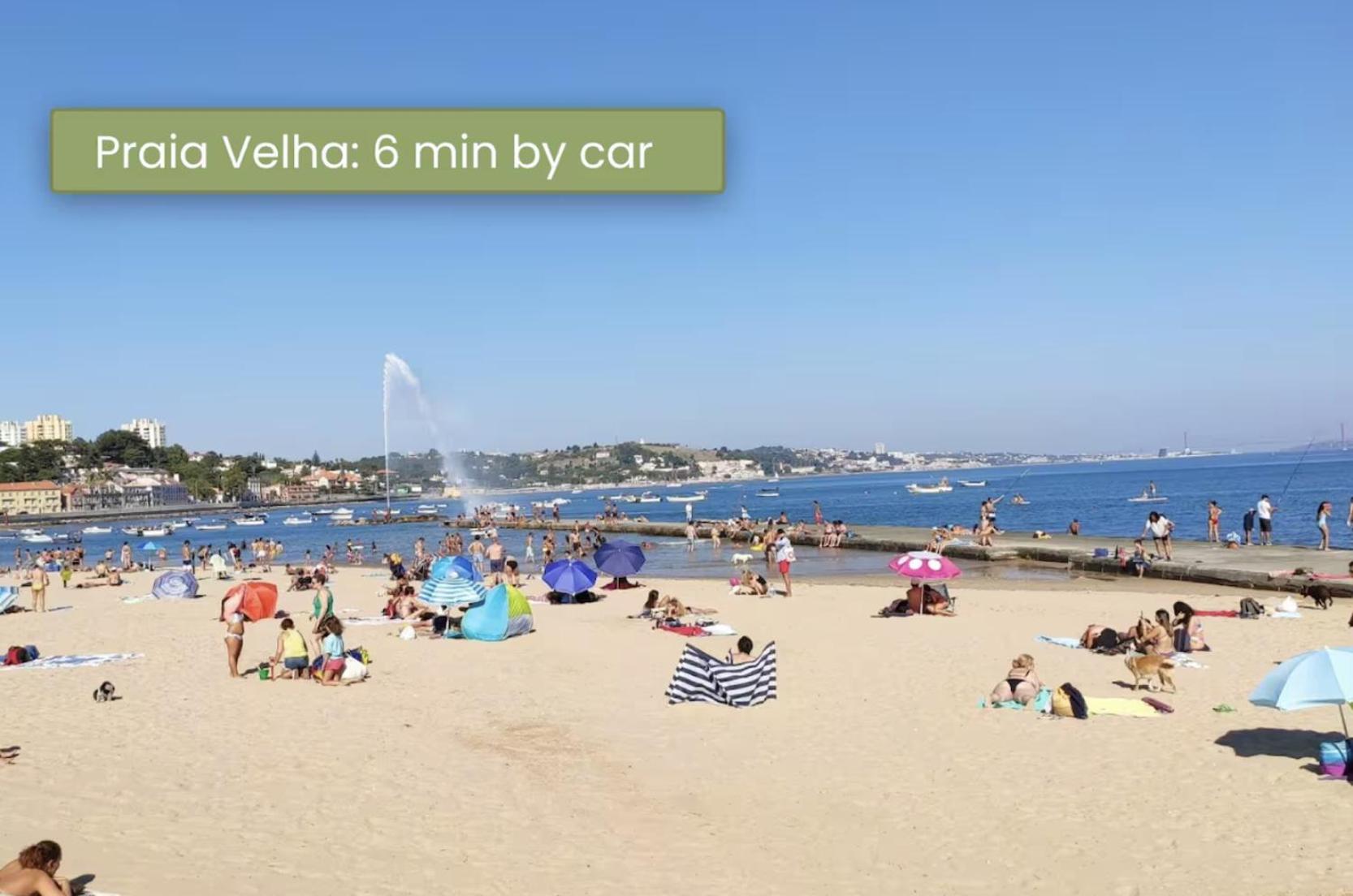 Villa - 16min To Downtown - 30 Ppl